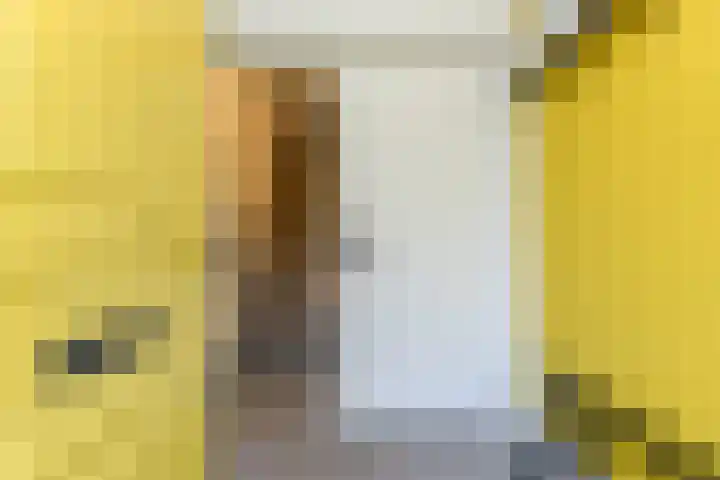 Laan van Meerdervoort 314 A Den Haag thumbnail 7