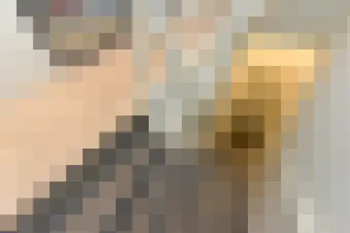 Laan van Meerdervoort 314 A Den Haag thumbnail 8