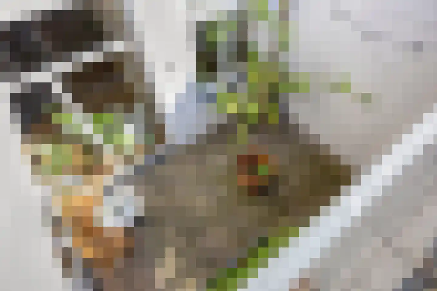 Laan van Meerdervoort 322 A Den Haag thumbnail 12