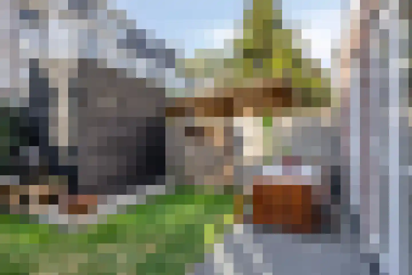 Laan van Meerdervoort 322 A Den Haag thumbnail 18