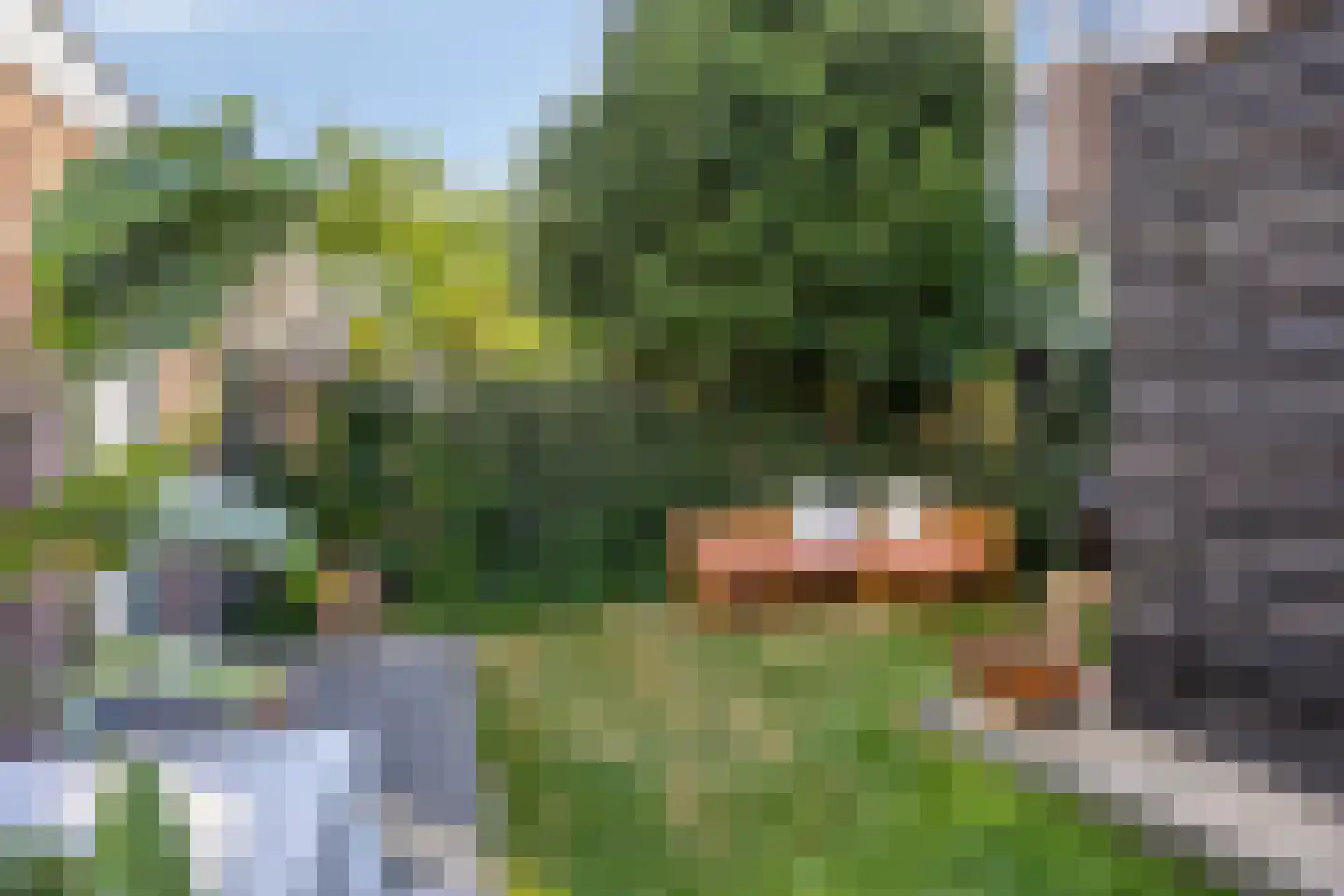 Laan van Meerdervoort 322 A Den Haag thumbnail 19