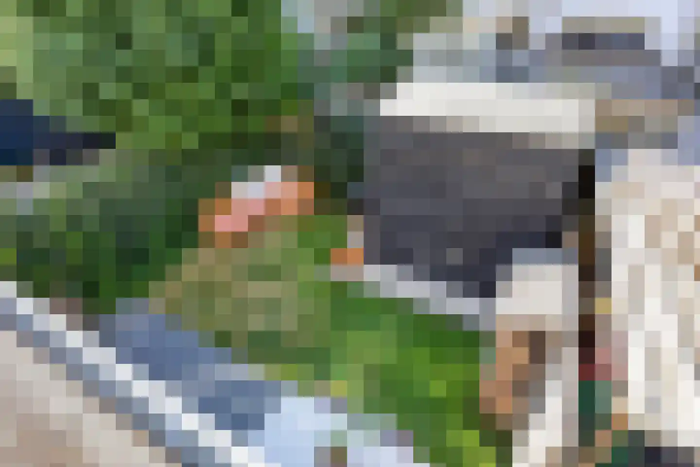 Laan van Meerdervoort 322 A Den Haag thumbnail 20