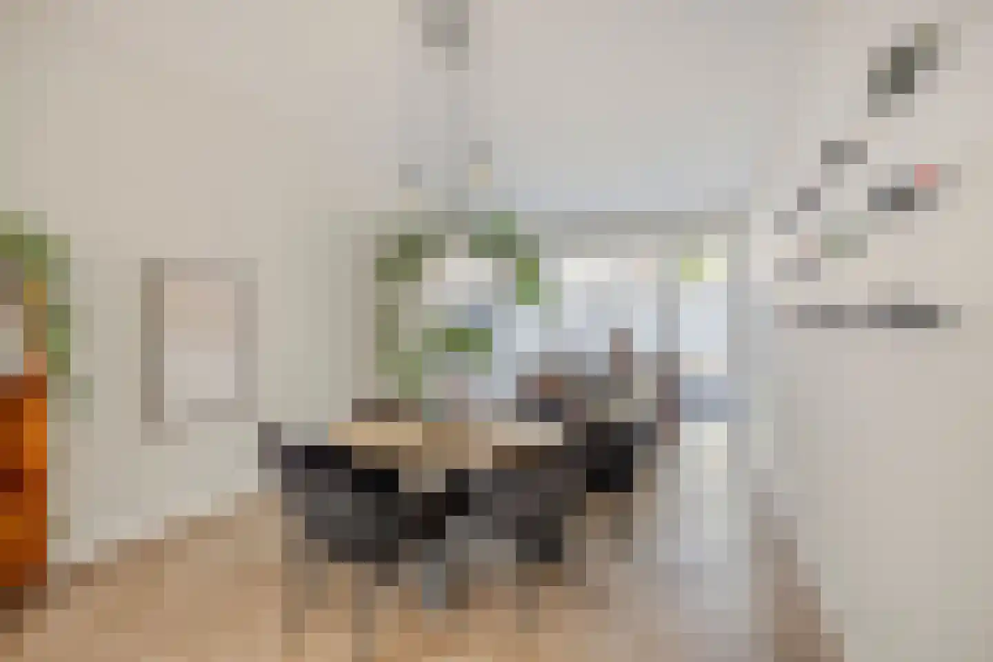 Laan van Meerdervoort 322 A Den Haag thumbnail 8