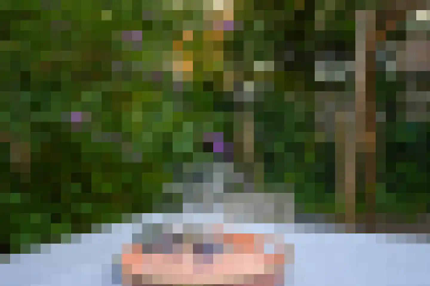 Laan van Meerdervoort 327 A Den Haag thumbnail 37