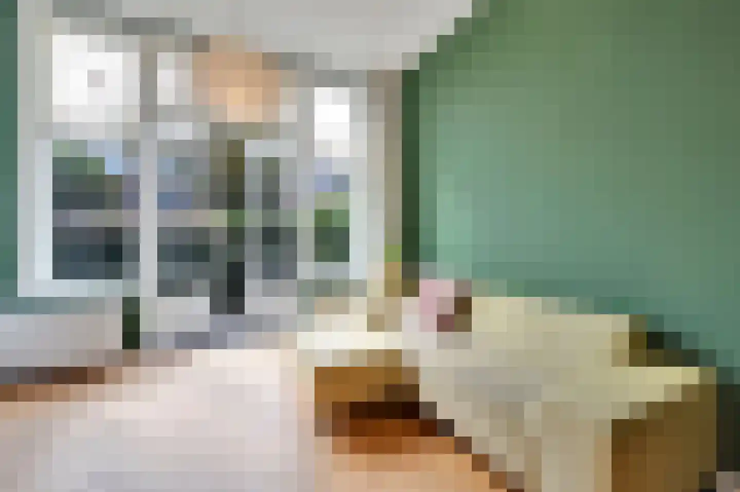 Laan van Meerdervoort 327 A Den Haag thumbnail 6