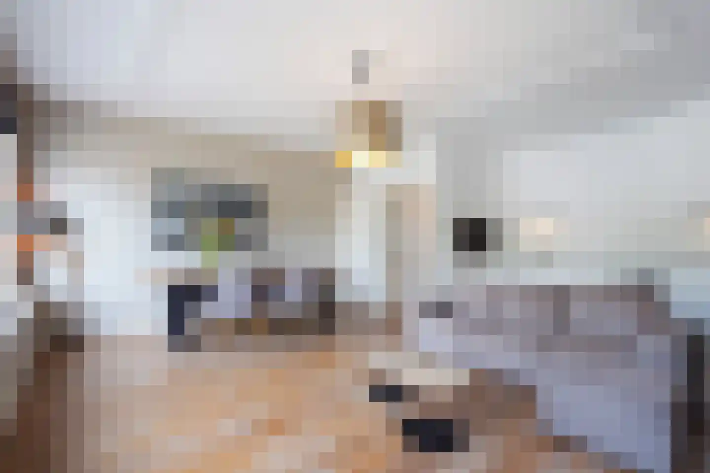 Laan van Meerdervoort 330 A Den Haag thumbnail 13