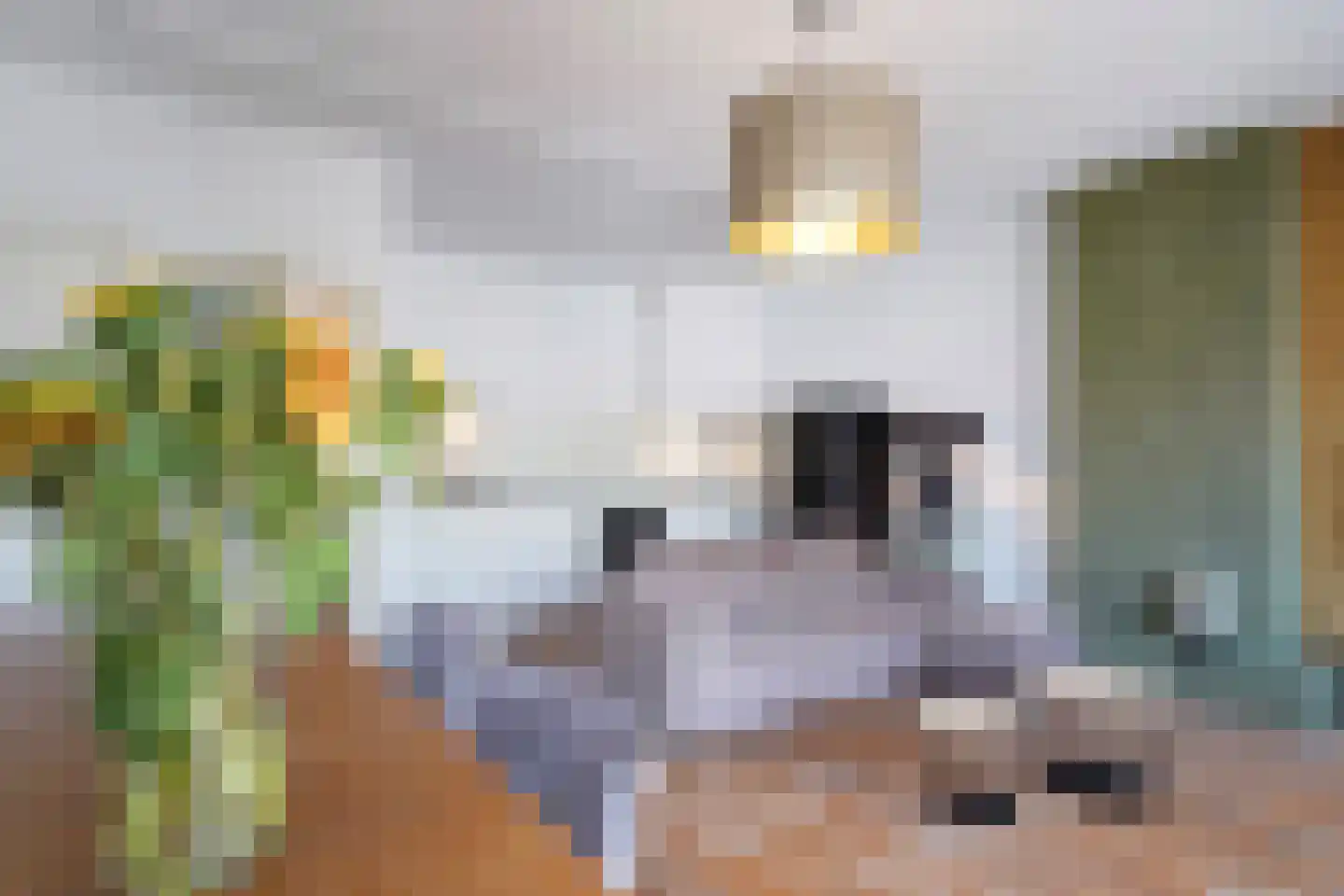 Laan van Meerdervoort 330 A Den Haag thumbnail 19