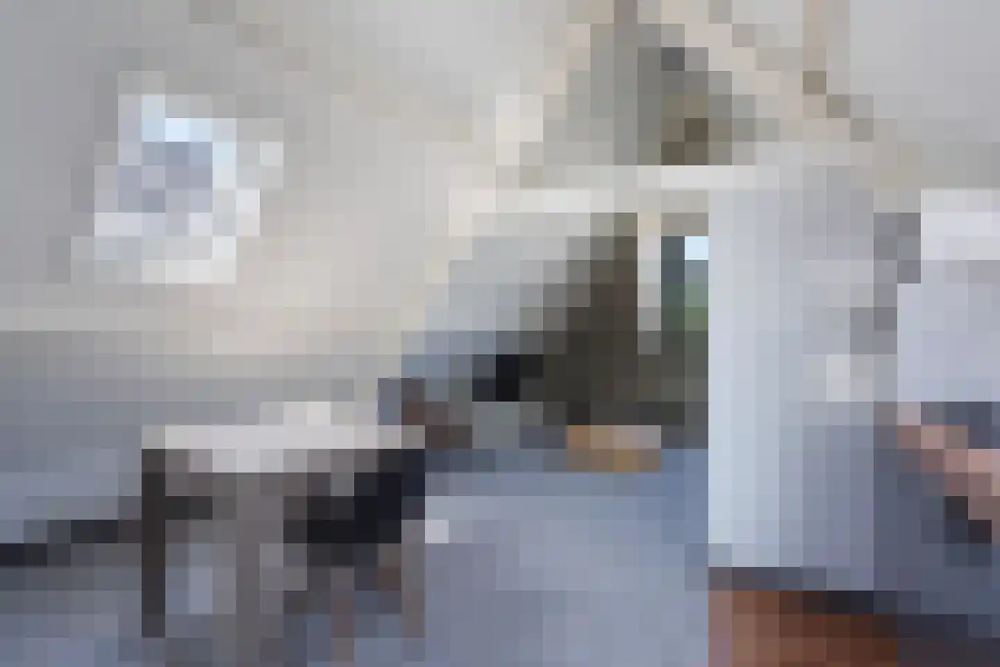 Laan van Meerdervoort 330 A Den Haag thumbnail 34