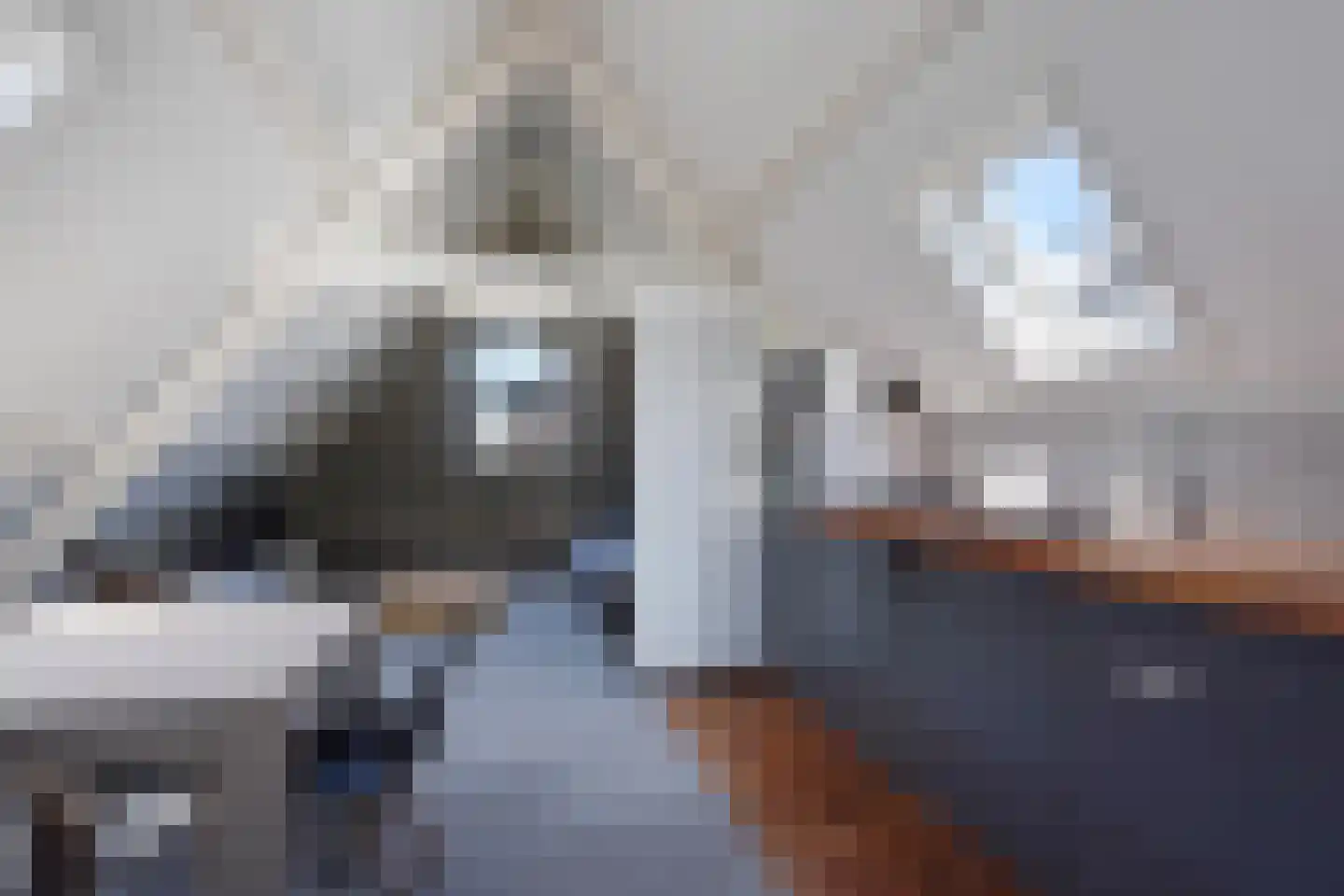 Laan van Meerdervoort 330 A Den Haag thumbnail 35