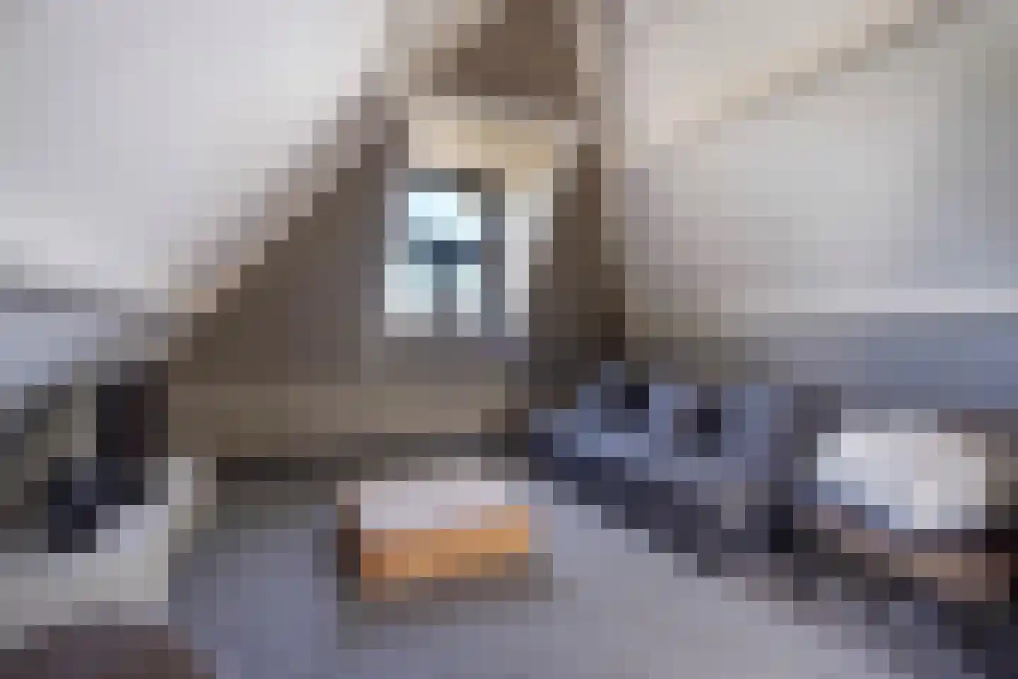 Laan van Meerdervoort 330 A Den Haag thumbnail 36