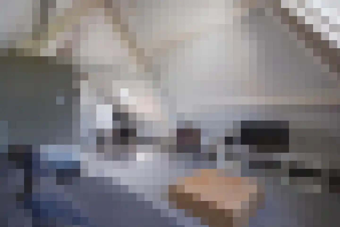 Laan van Meerdervoort 330 A Den Haag thumbnail 37