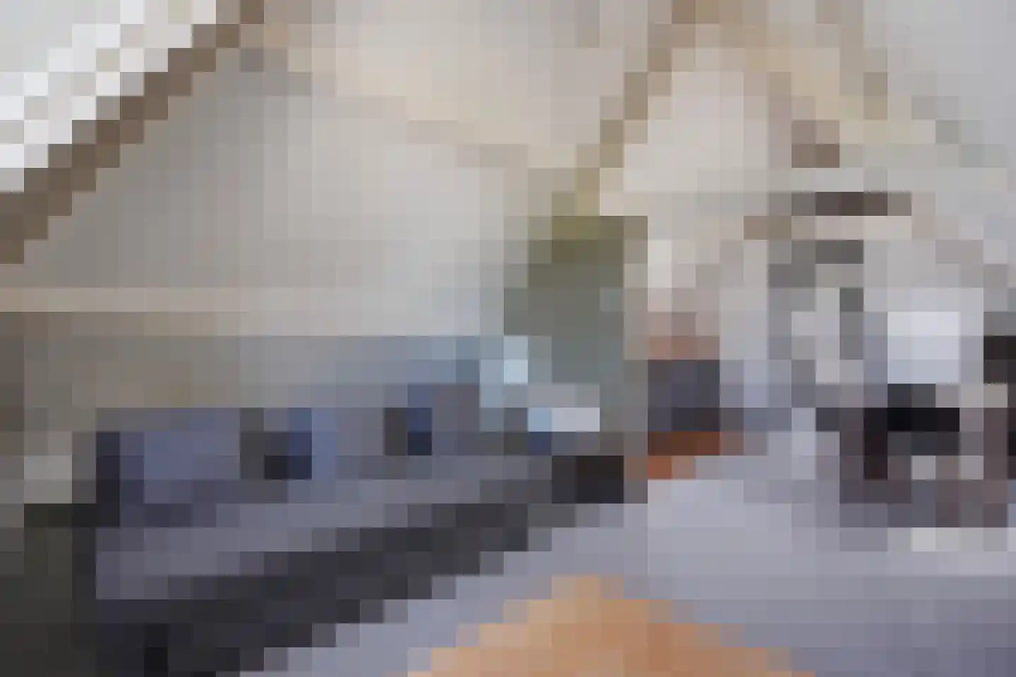 Laan van Meerdervoort 330 A Den Haag thumbnail 5