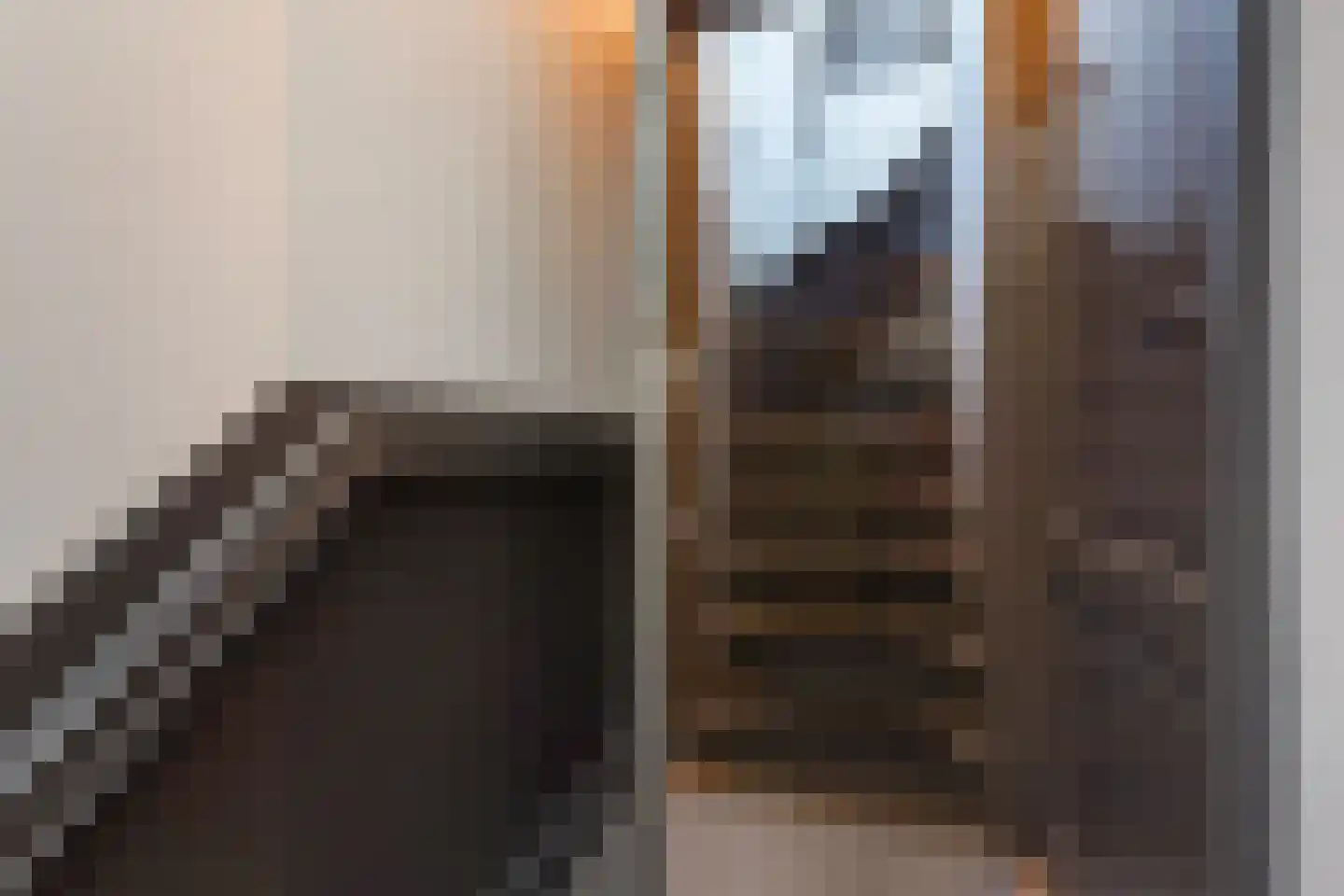 Laan van Meerdervoort 330 A Den Haag thumbnail 7