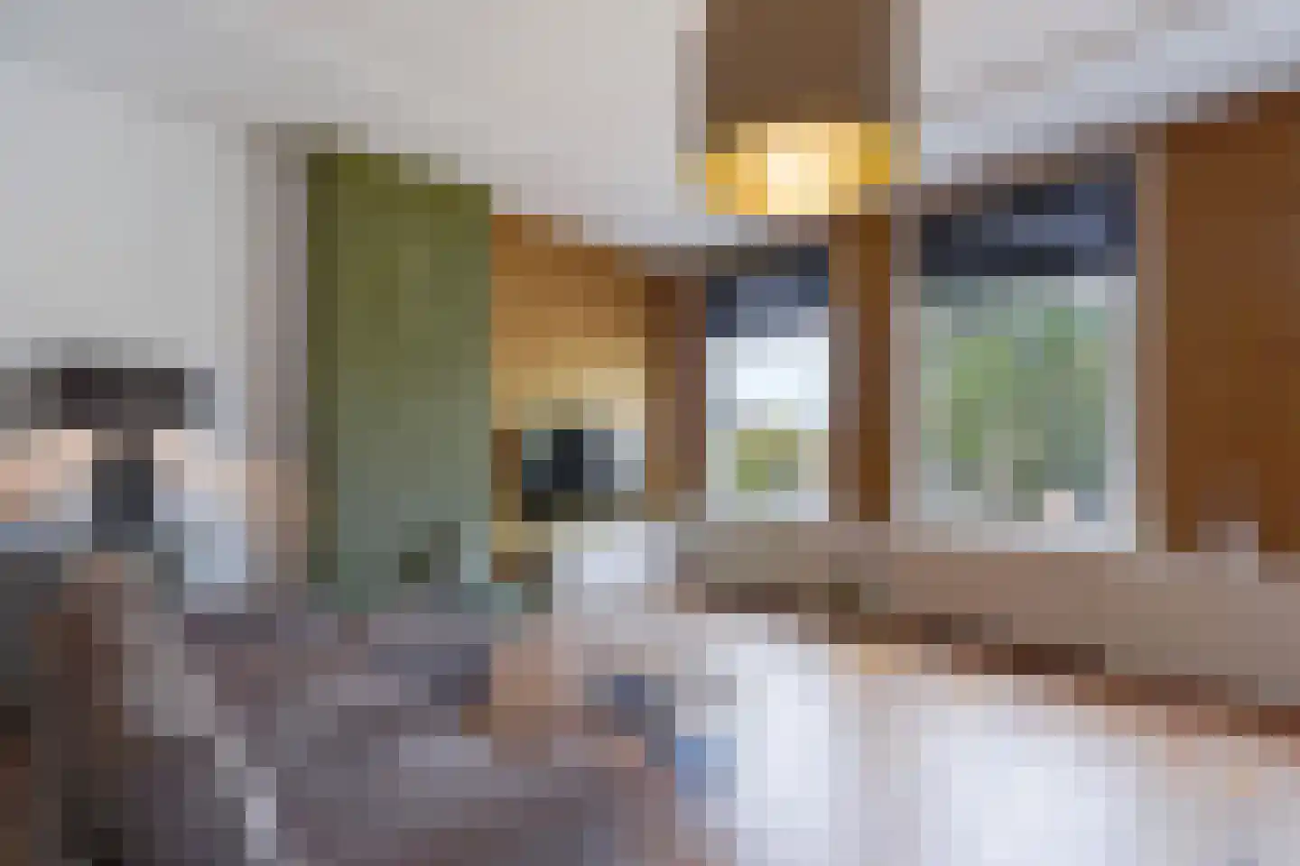 Laan van Meerdervoort 330 A Den Haag thumbnail 8