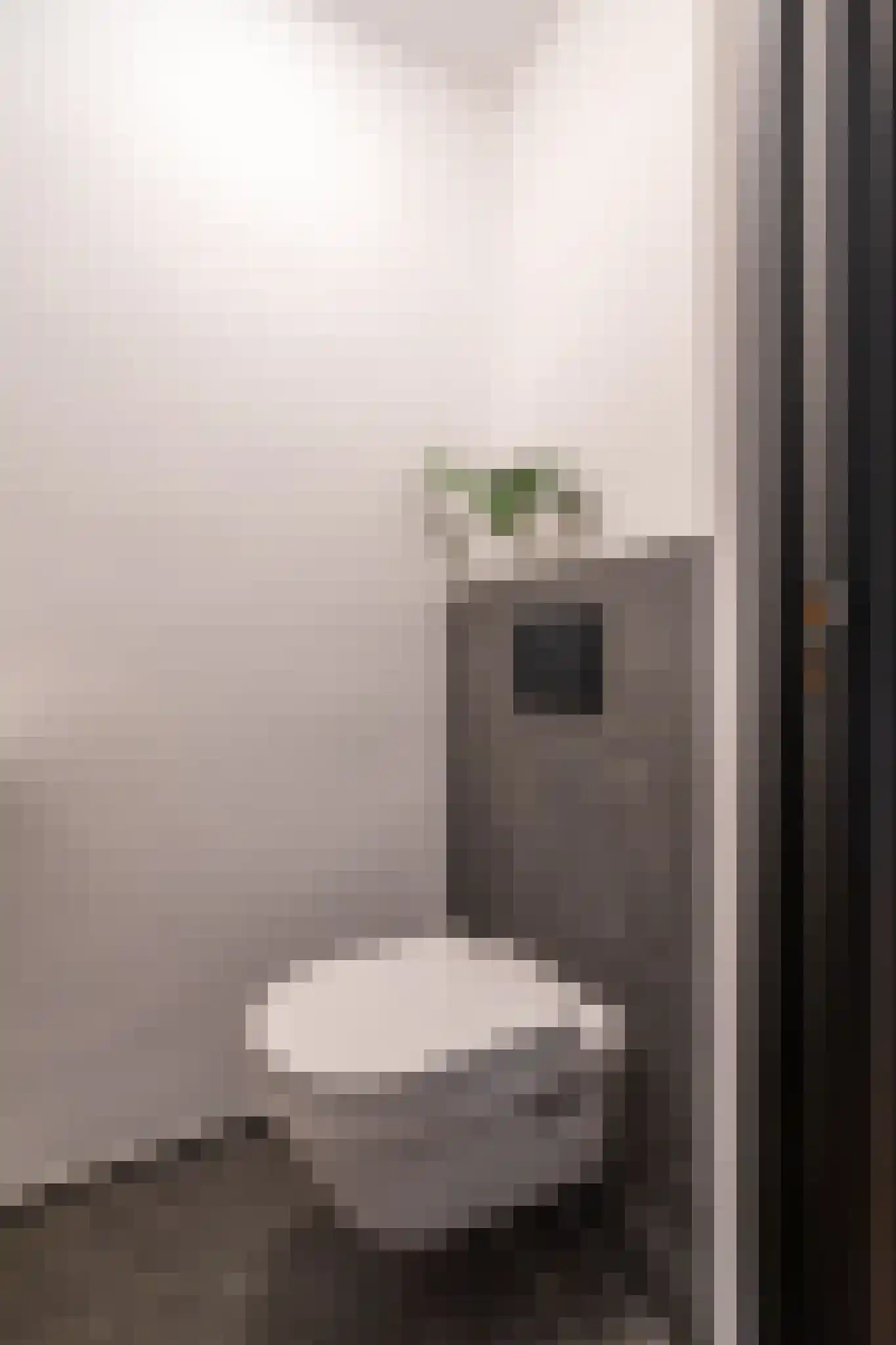 Laan van Meerdervoort 330 B Den Haag thumbnail 17
