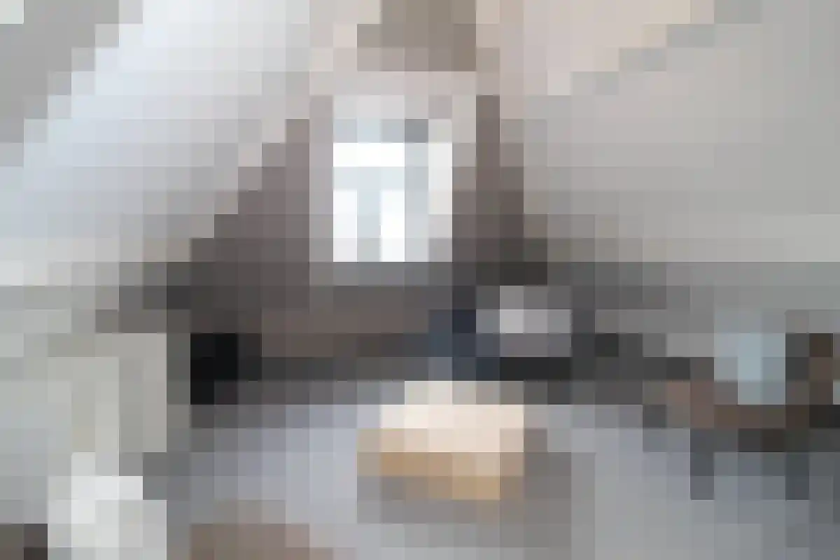 Laan van Meerdervoort 330 Den Haag thumbnail 5
