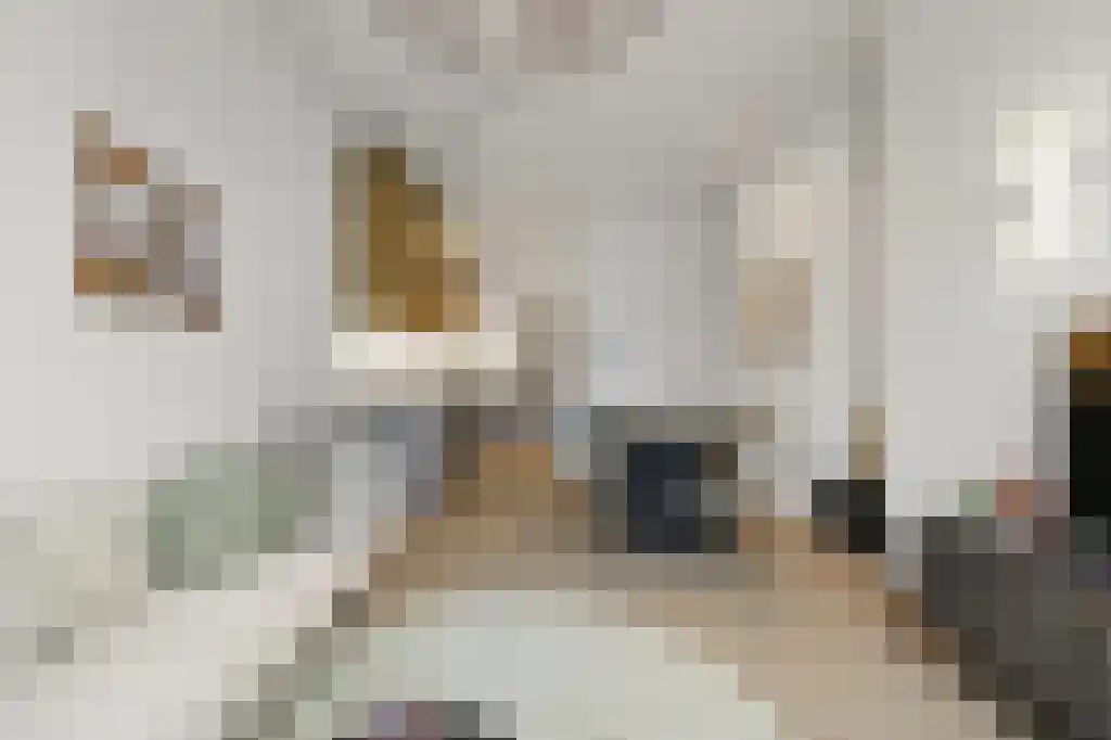 Laan van Meerdervoort 342 D Den Haag thumbnail 5