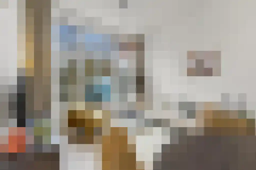 Laan van Meerdervoort 342 D Den Haag thumbnail 6