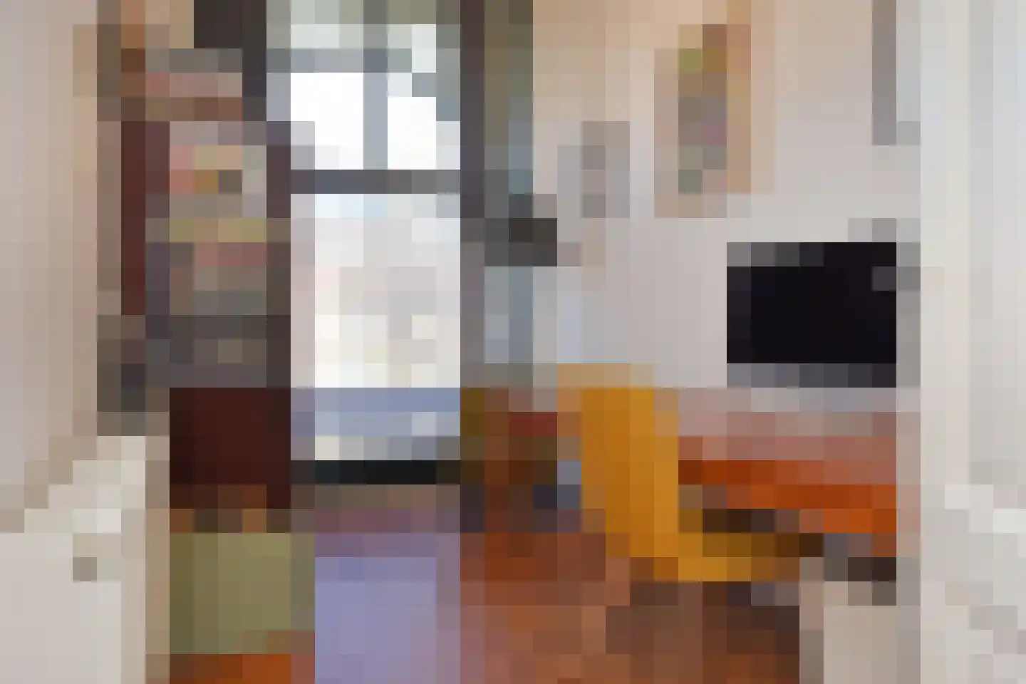 Laan van Meerdervoort 360 Den Haag thumbnail 20