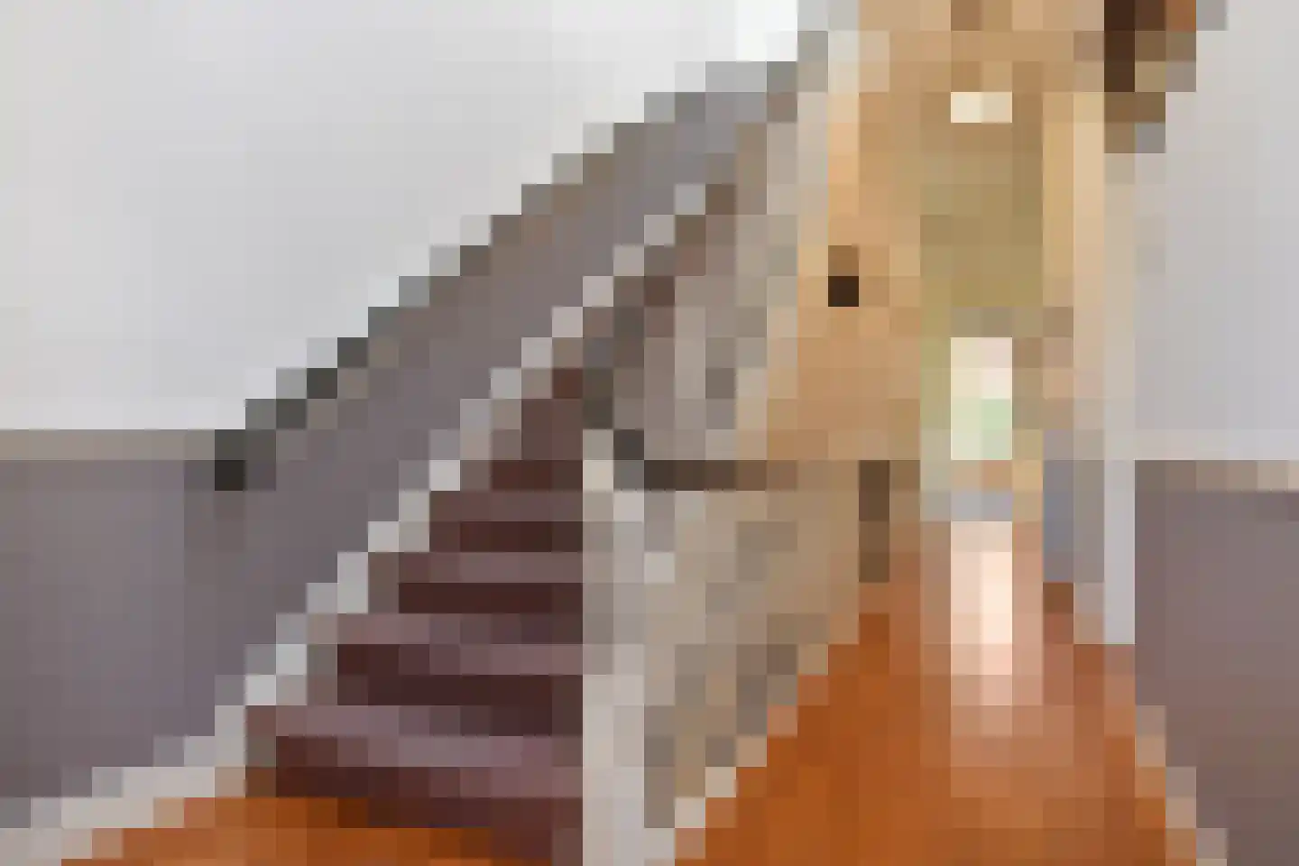 Laan van Meerdervoort 360 Den Haag thumbnail 21