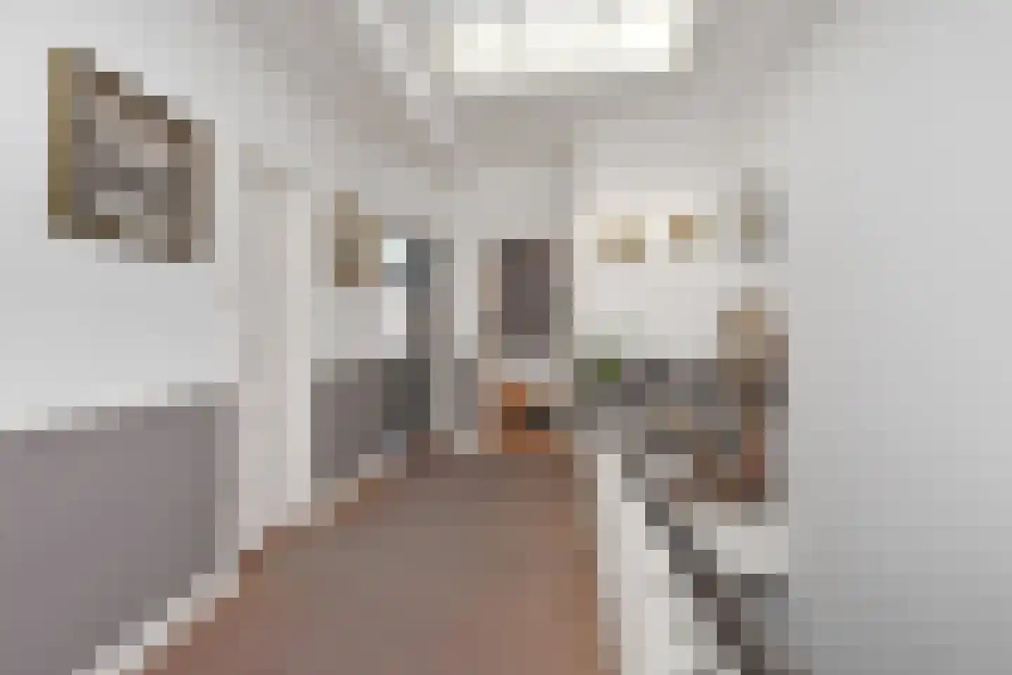 Laan van Meerdervoort 360 Den Haag thumbnail 22