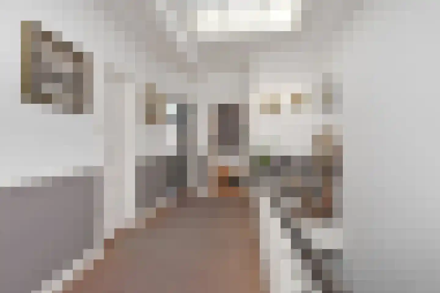 Laan van Meerdervoort 360 Den Haag thumbnail 23