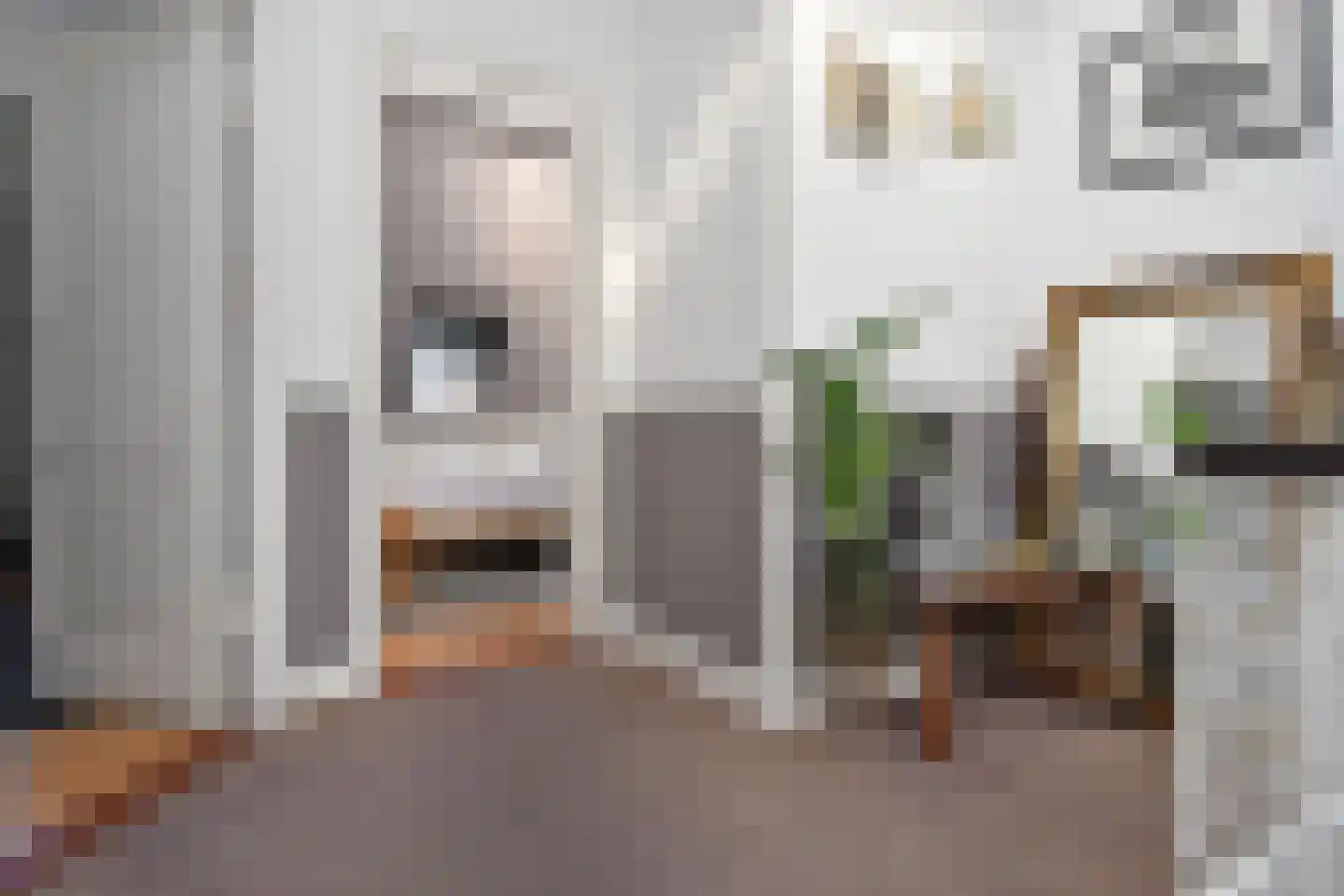 Laan van Meerdervoort 360 Den Haag thumbnail 28