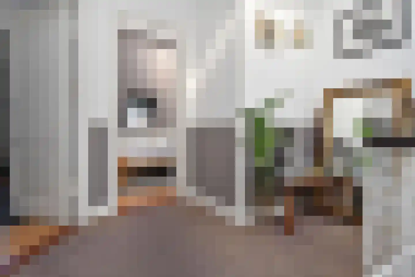 Laan van Meerdervoort 360 Den Haag thumbnail 29
