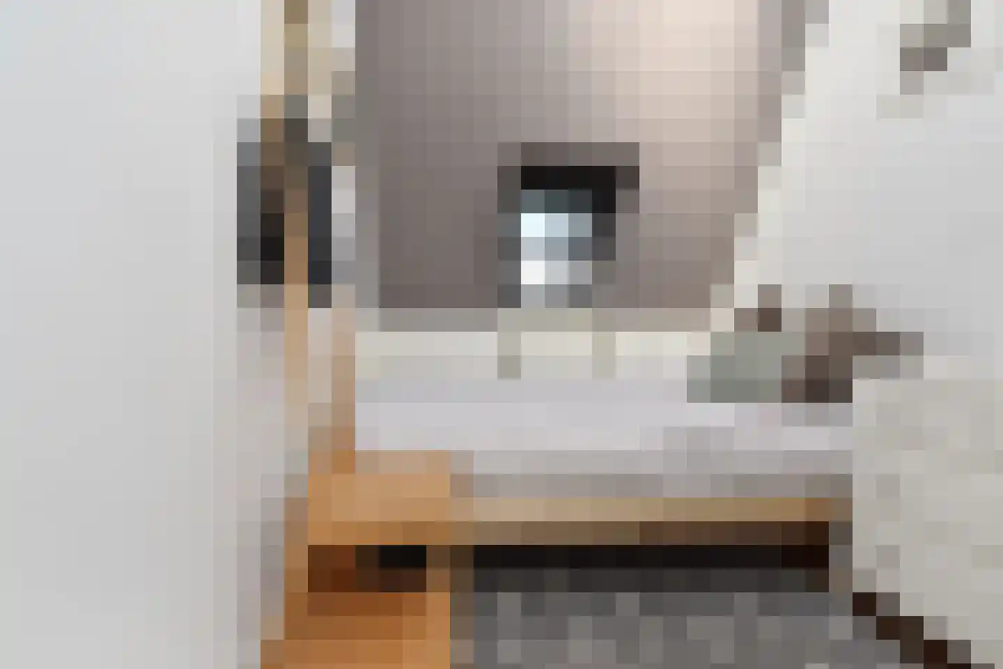Laan van Meerdervoort 360 Den Haag thumbnail 29