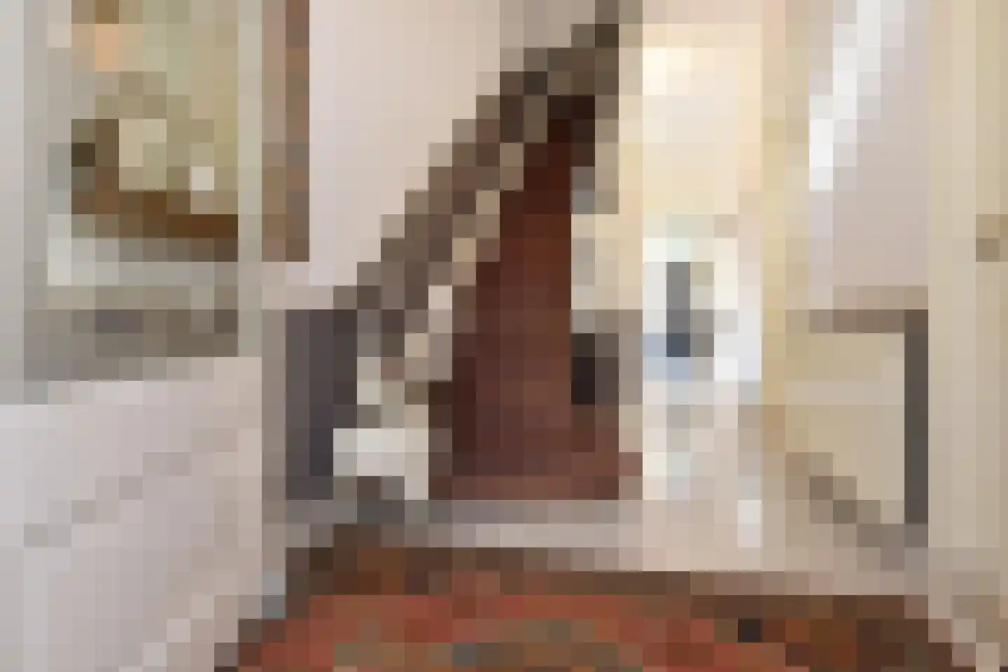 Laan van Meerdervoort 360 Den Haag thumbnail 4