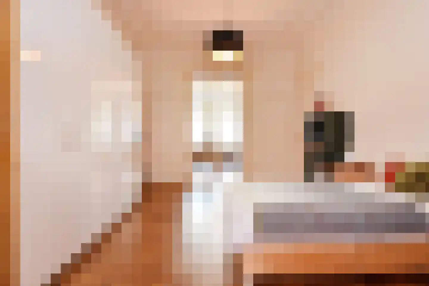 Laan van Meerdervoort 360 Den Haag thumbnail 40