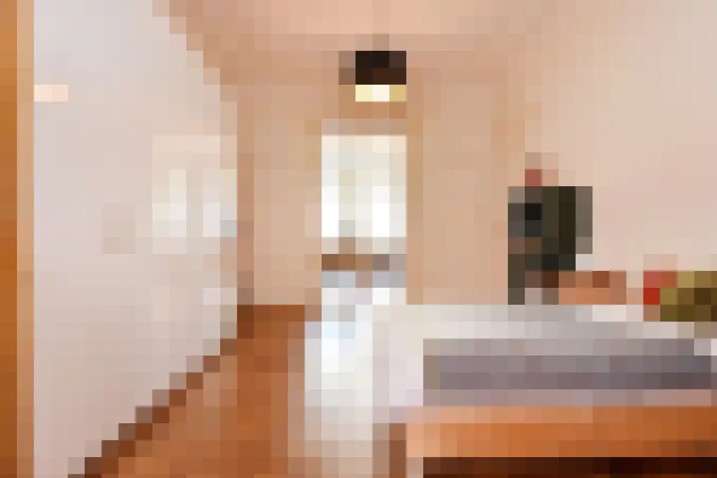 Laan van Meerdervoort 360 Den Haag thumbnail 41