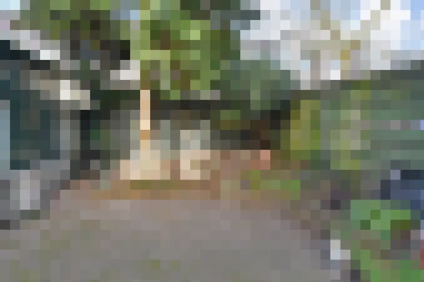 Laan van Meerdervoort 360 Den Haag thumbnail 44