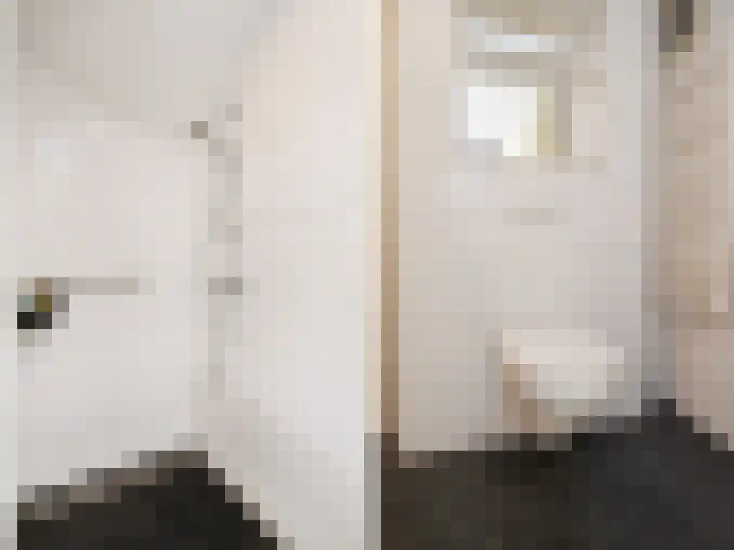 Laan van Meerdervoort 360 Den Haag thumbnail 46