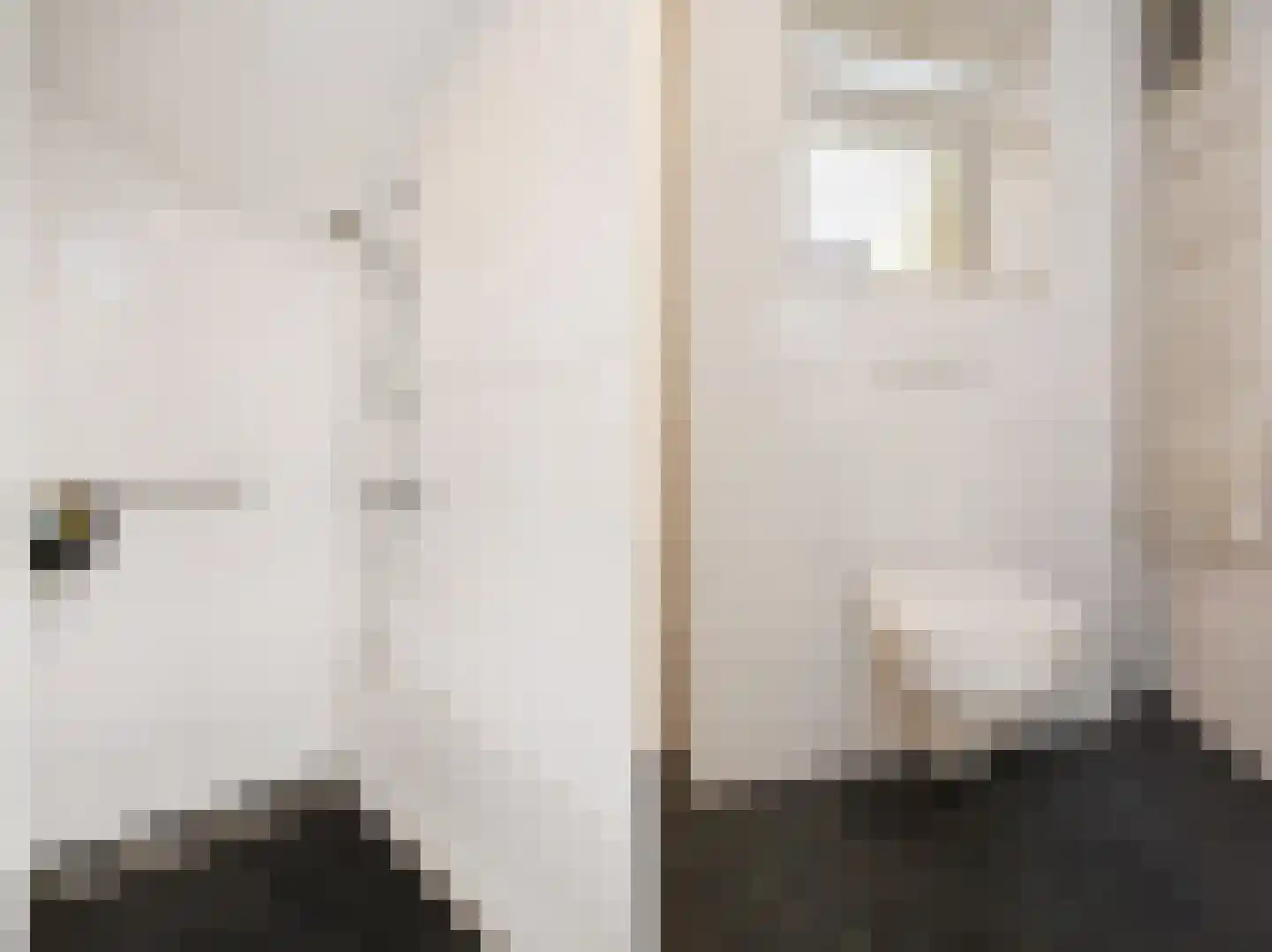Laan van Meerdervoort 360 Den Haag thumbnail 47