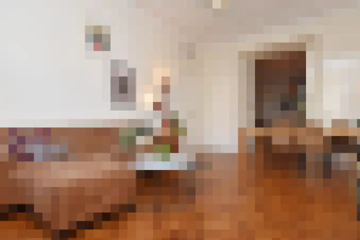 Laan van Meerdervoort 360 Den Haag thumbnail 6