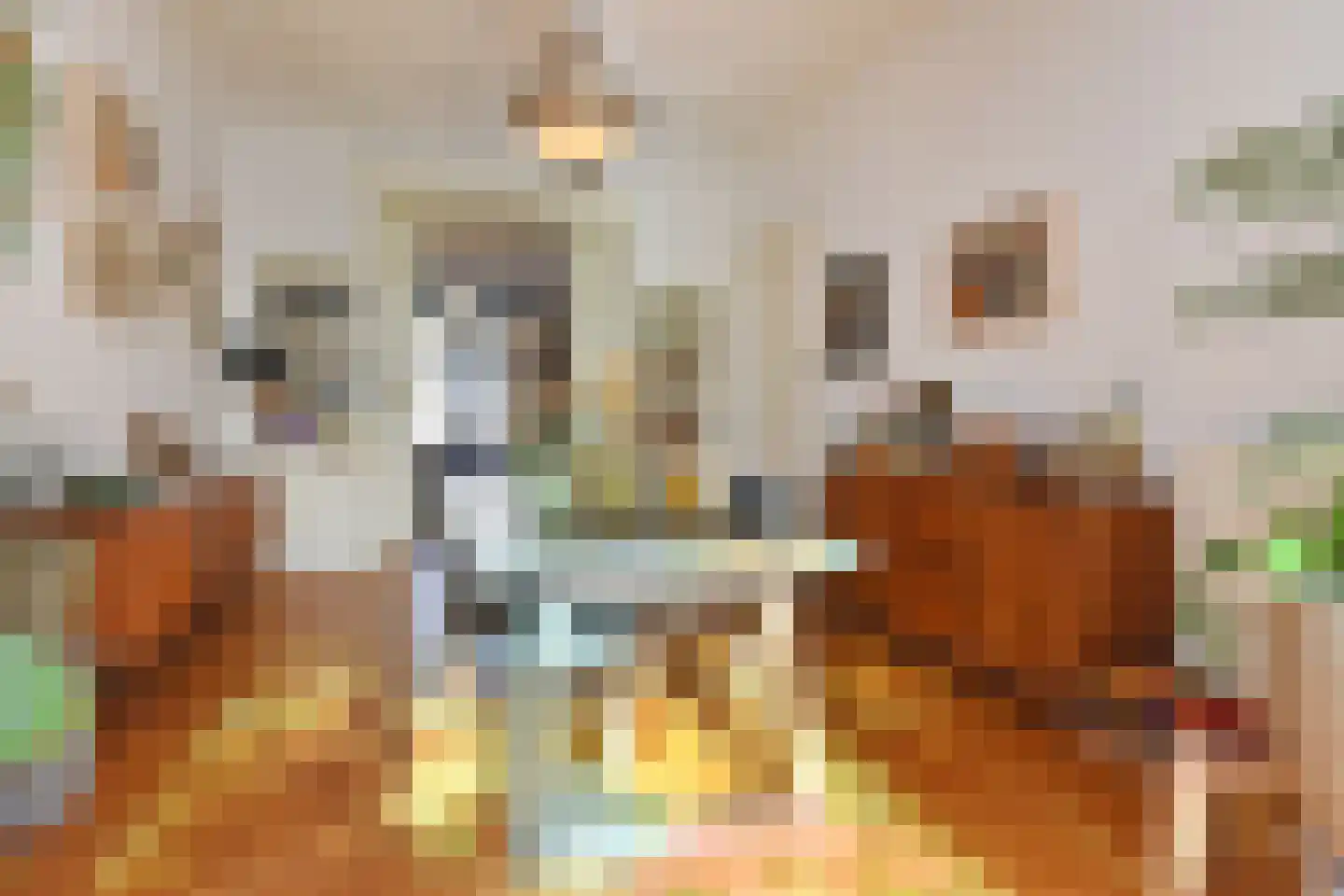 Laan van Meerdervoort 360 Den Haag thumbnail 6