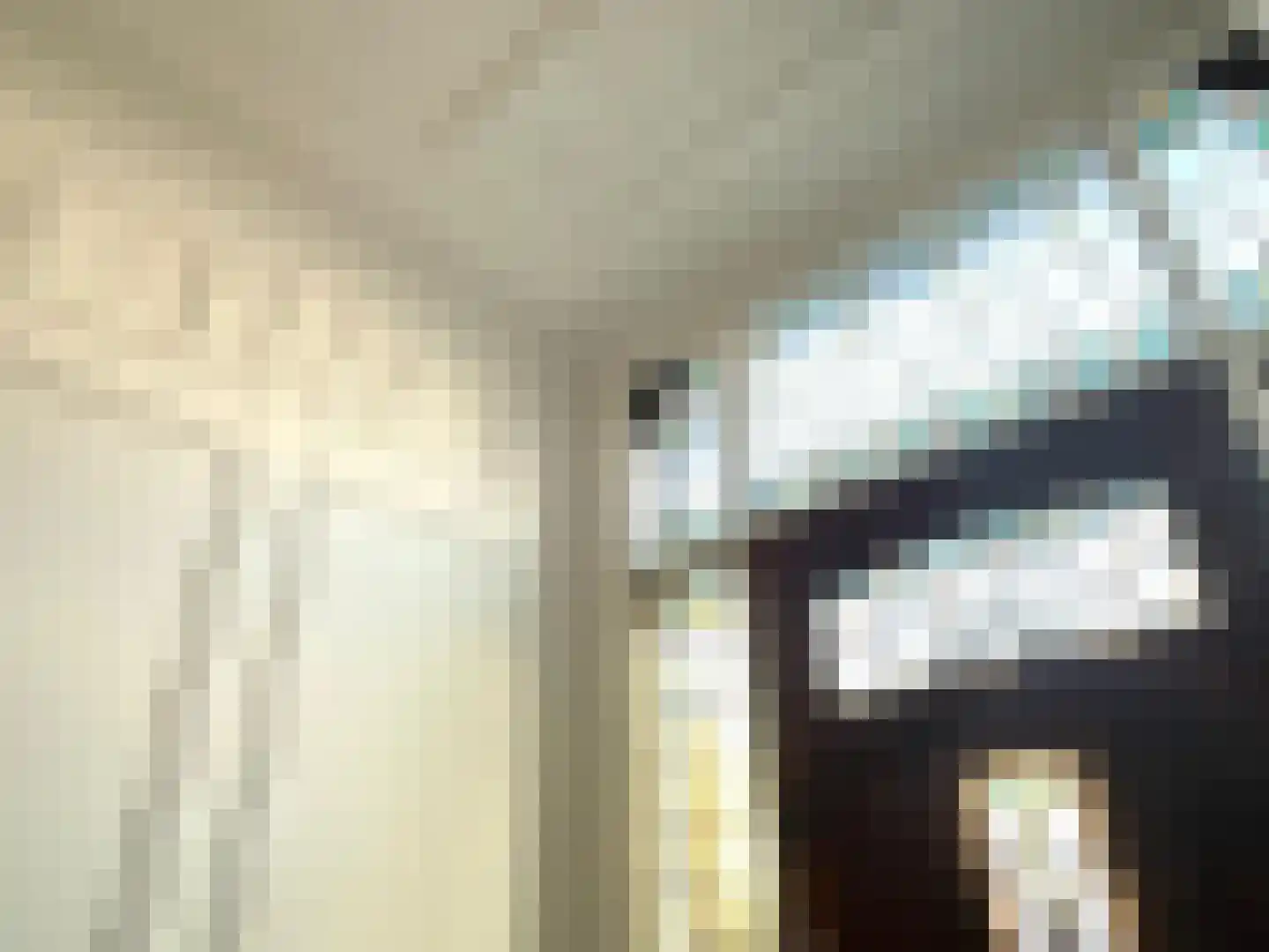Laan van Meerdervoort 360 Den Haag thumbnail 61