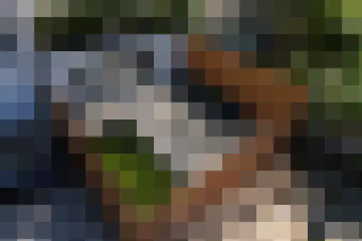Laan van Meerdervoort 37 A Den Haag thumbnail 18