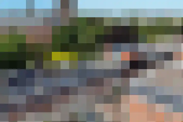 Laan van Meerdervoort 37 A Den Haag thumbnail 20