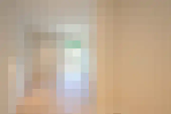 Laan van Meerdervoort 37 A Den Haag thumbnail 33