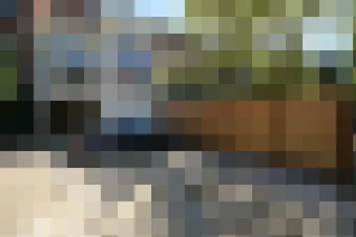 Laan van Meerdervoort 37 A Den Haag thumbnail 41