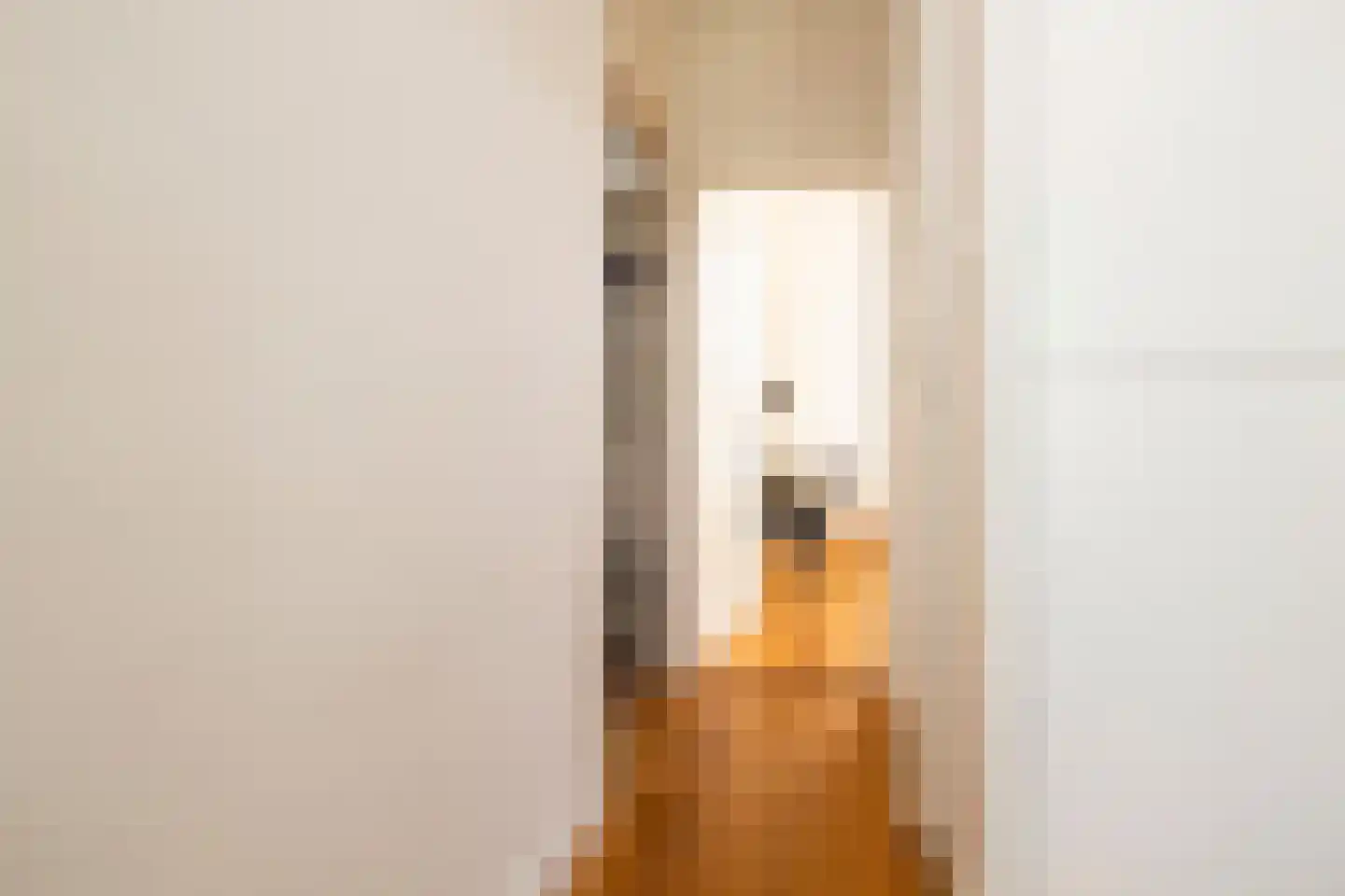 Laan van Meerdervoort 374 A Den Haag thumbnail 17