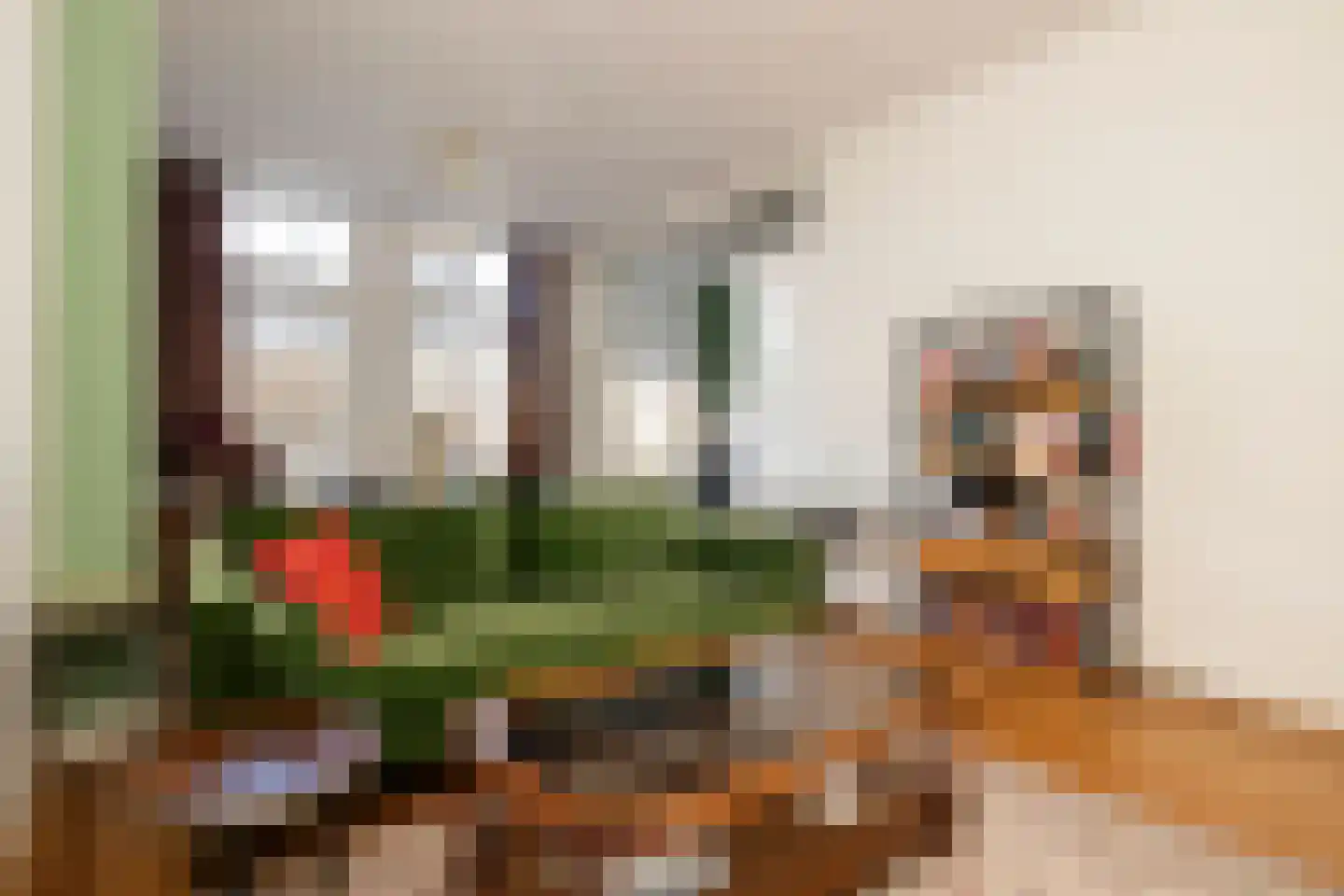 Laan van Meerdervoort 374 A Den Haag thumbnail 4