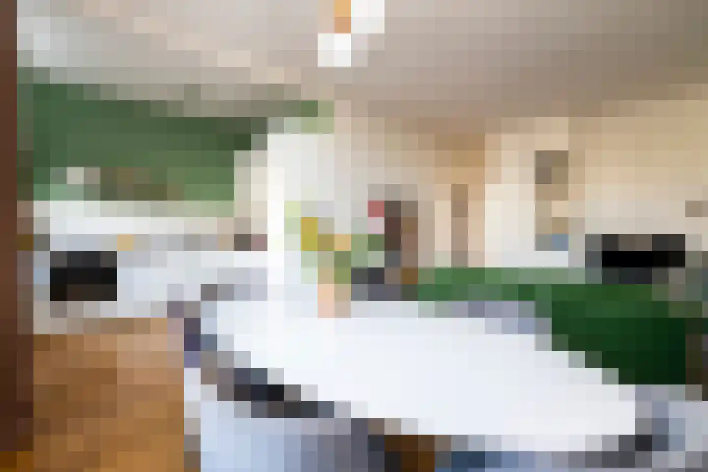 Laan van Meerdervoort 374 A Den Haag thumbnail 6