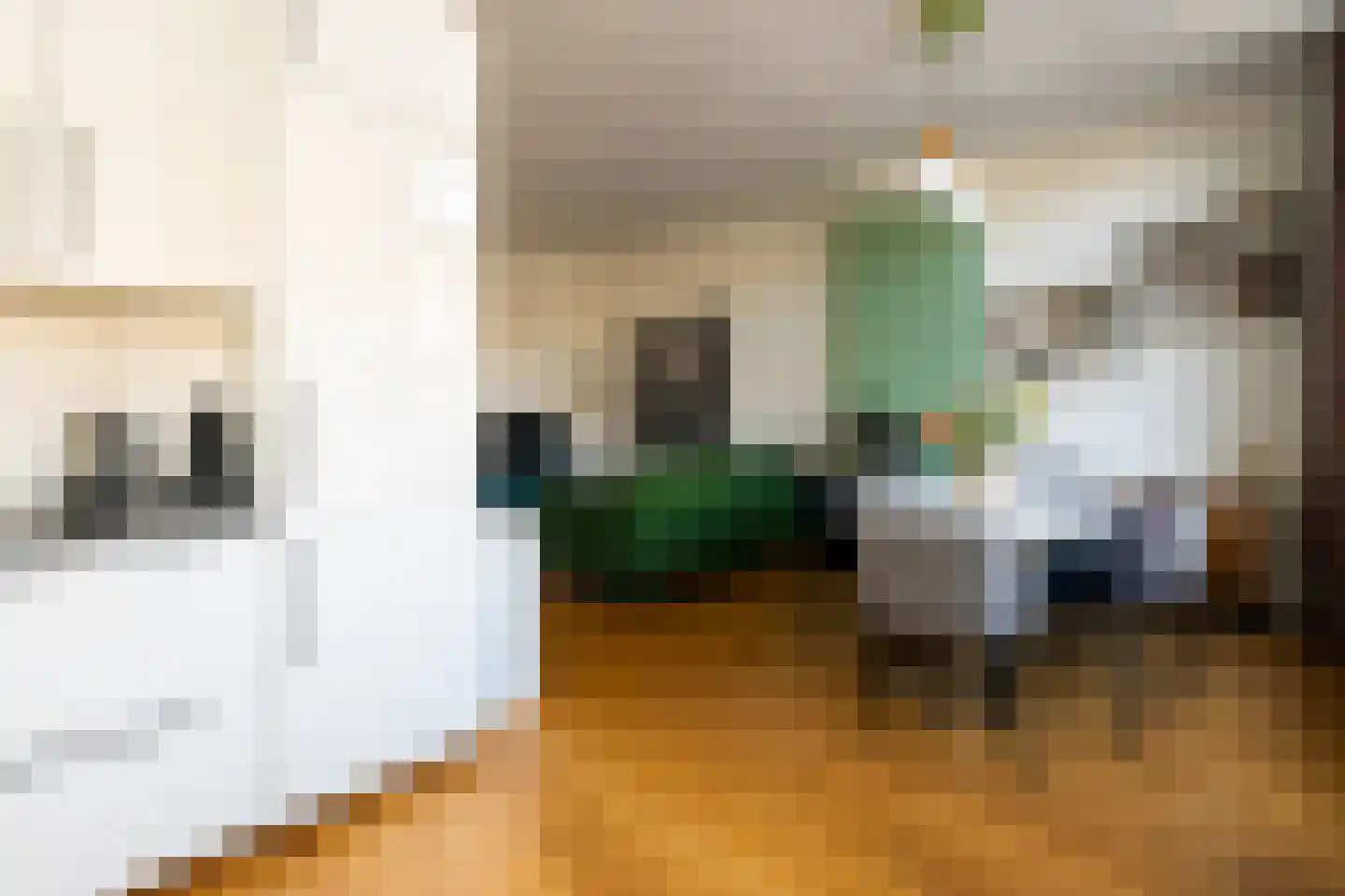 Laan van Meerdervoort 374 A Den Haag thumbnail 9