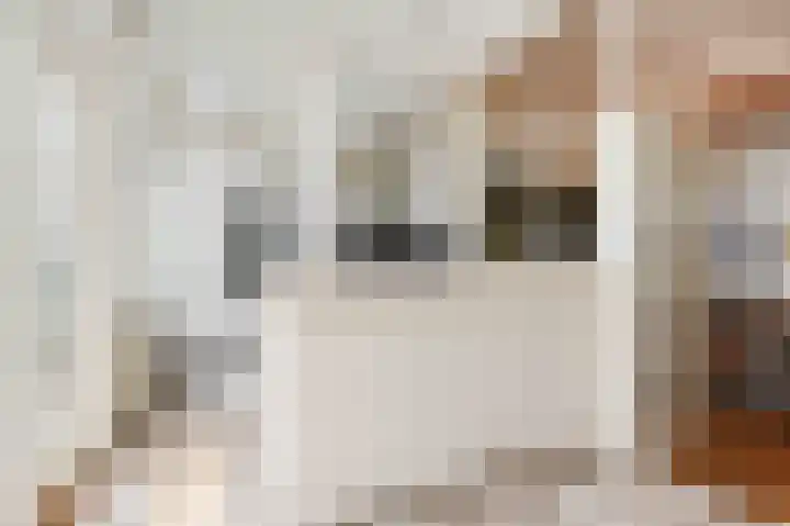 Laan van Meerdervoort 382 Den Haag thumbnail 12