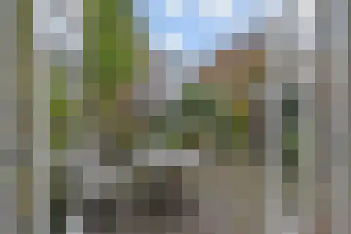 Laan van Meerdervoort 382 Den Haag thumbnail 15