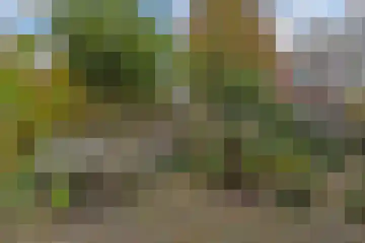 Laan van Meerdervoort 382 Den Haag thumbnail 18