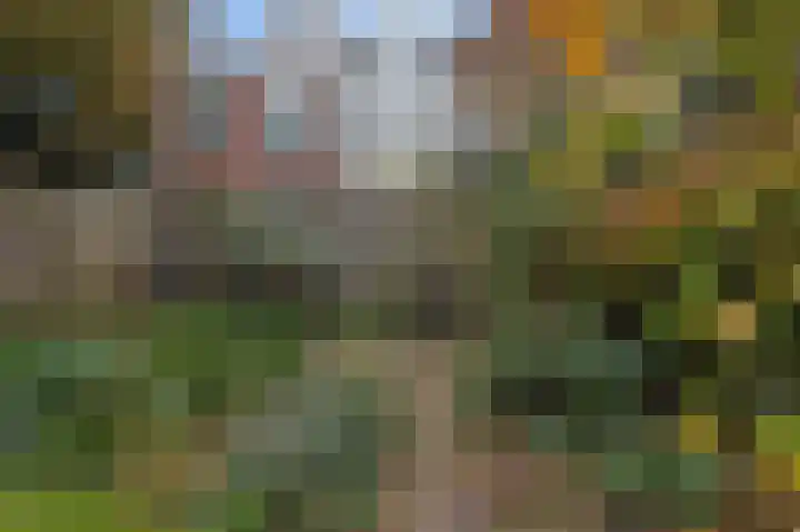 Laan van Meerdervoort 382 Den Haag thumbnail 19